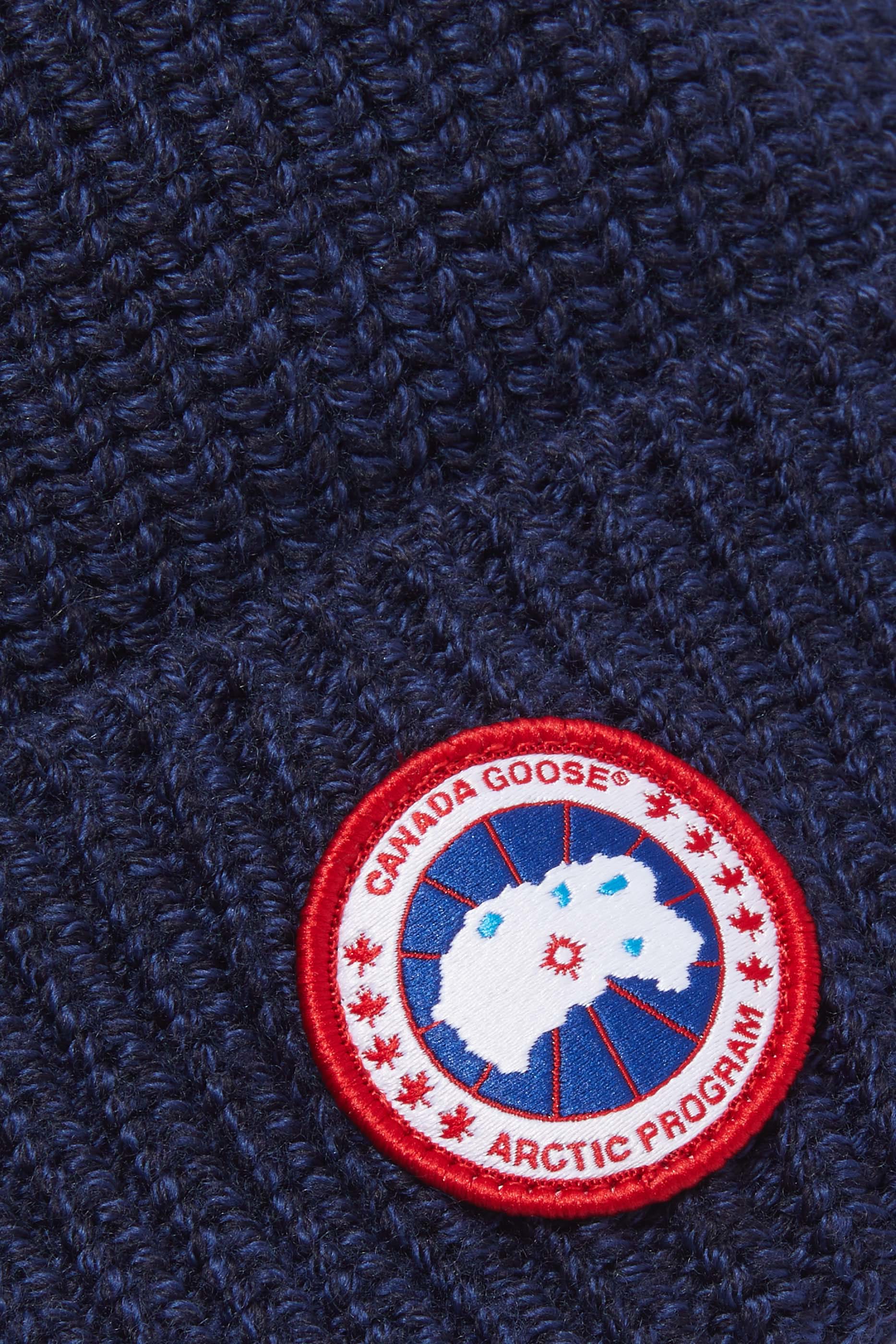 Arctic Disc Beanie