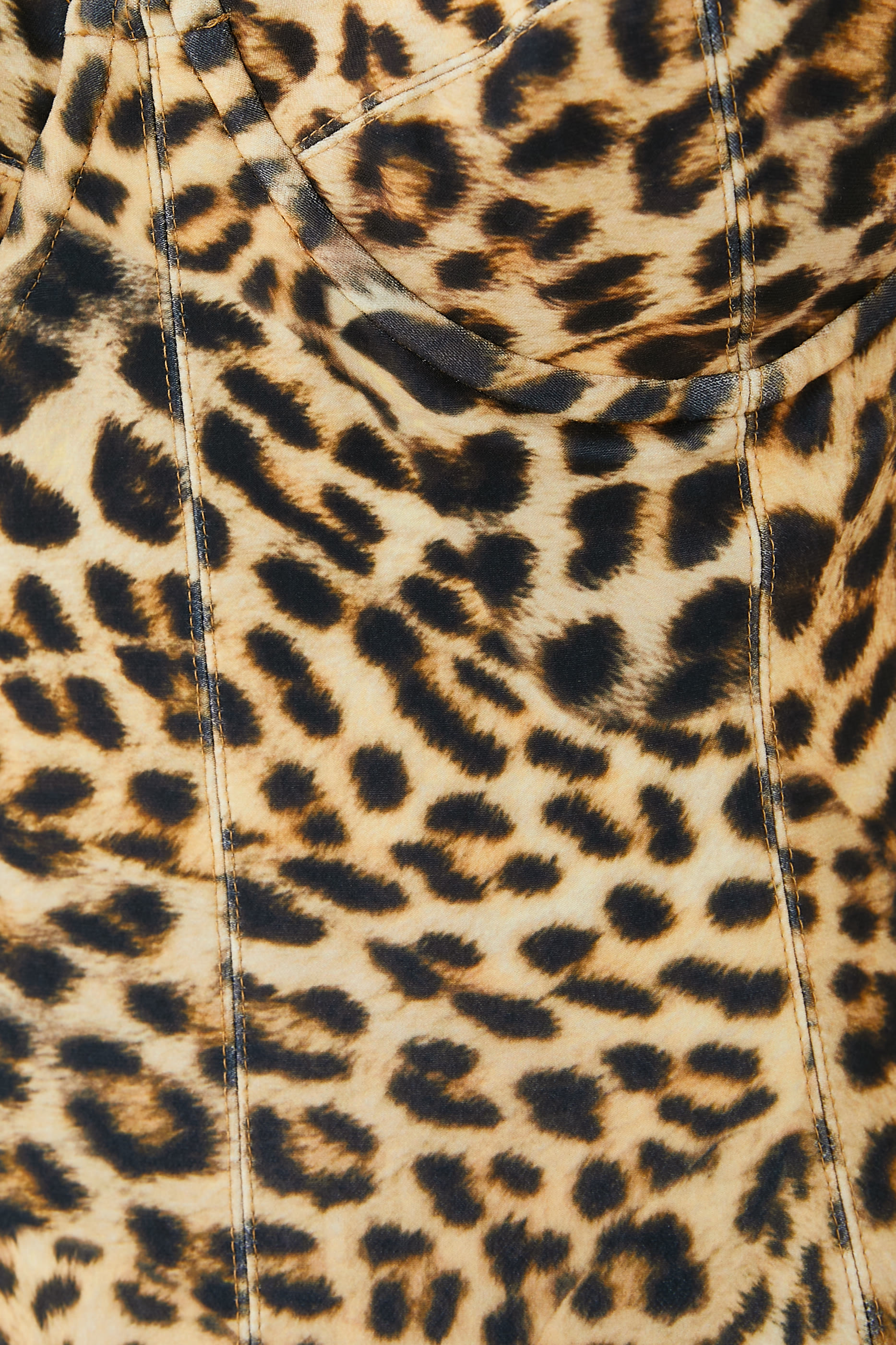 Cheetah Print Corset Mio Swimsuit