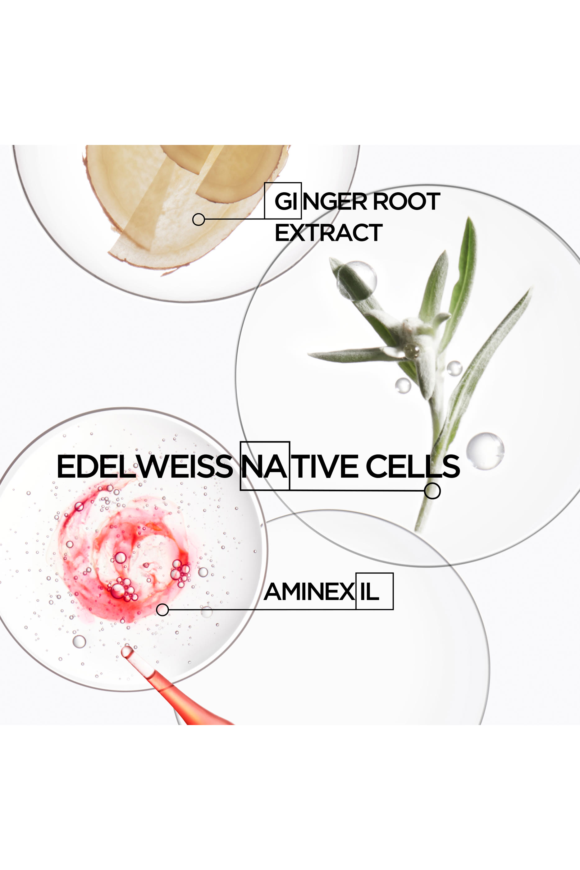 Genesis Anti-Hair Fall Scalp Serum 