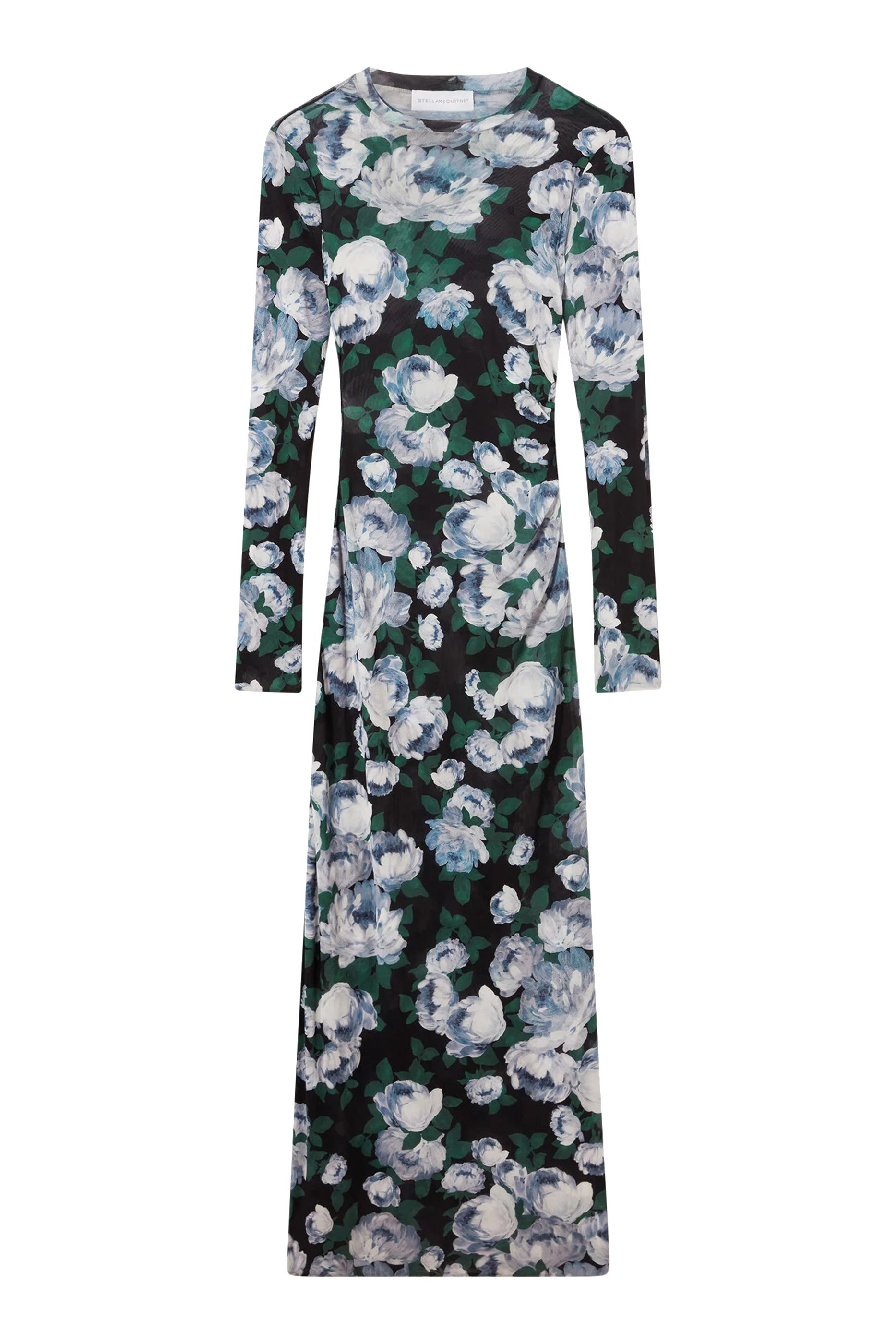 Bunch of Roses Mesh Maxi Dress