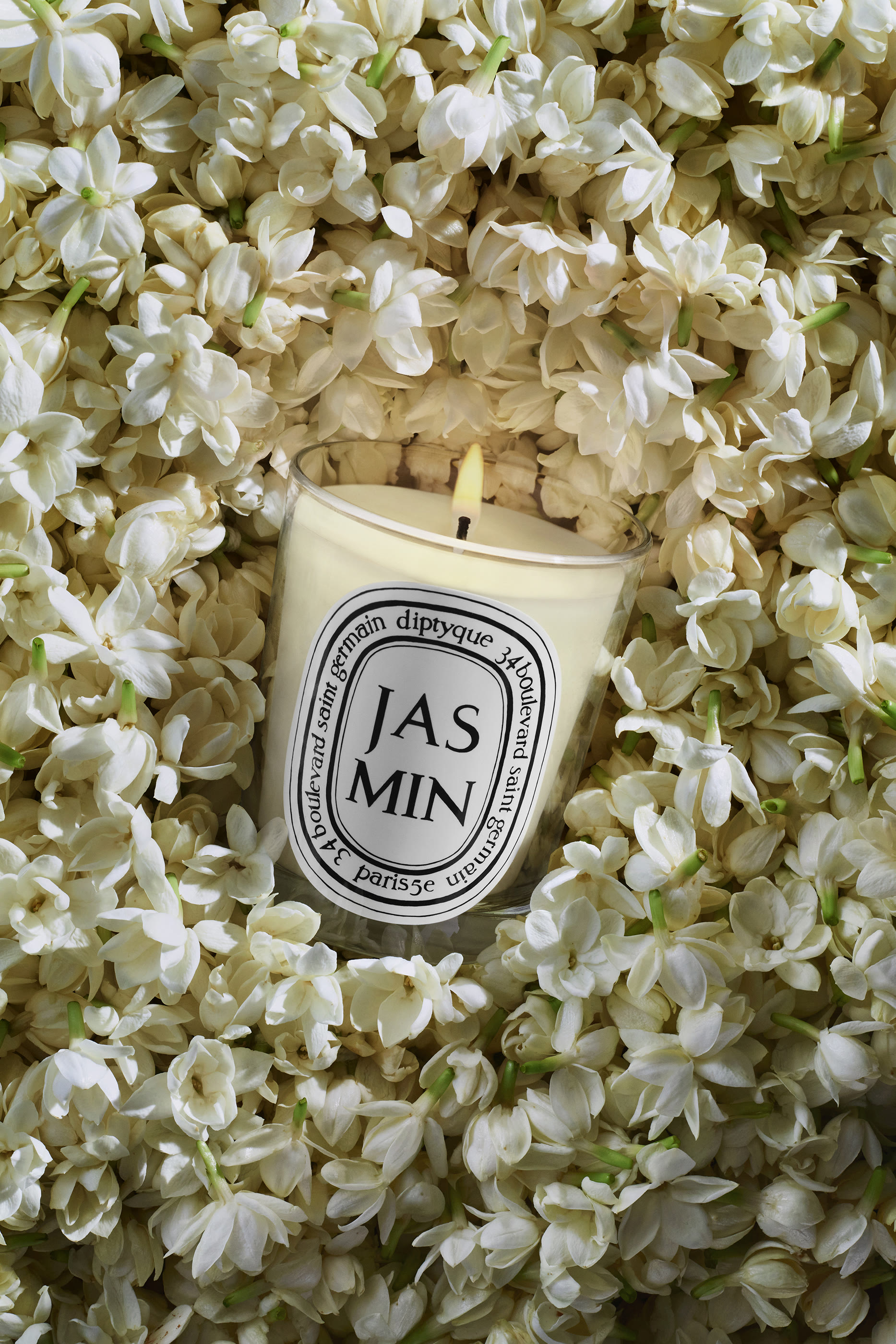 Jasmin Candle