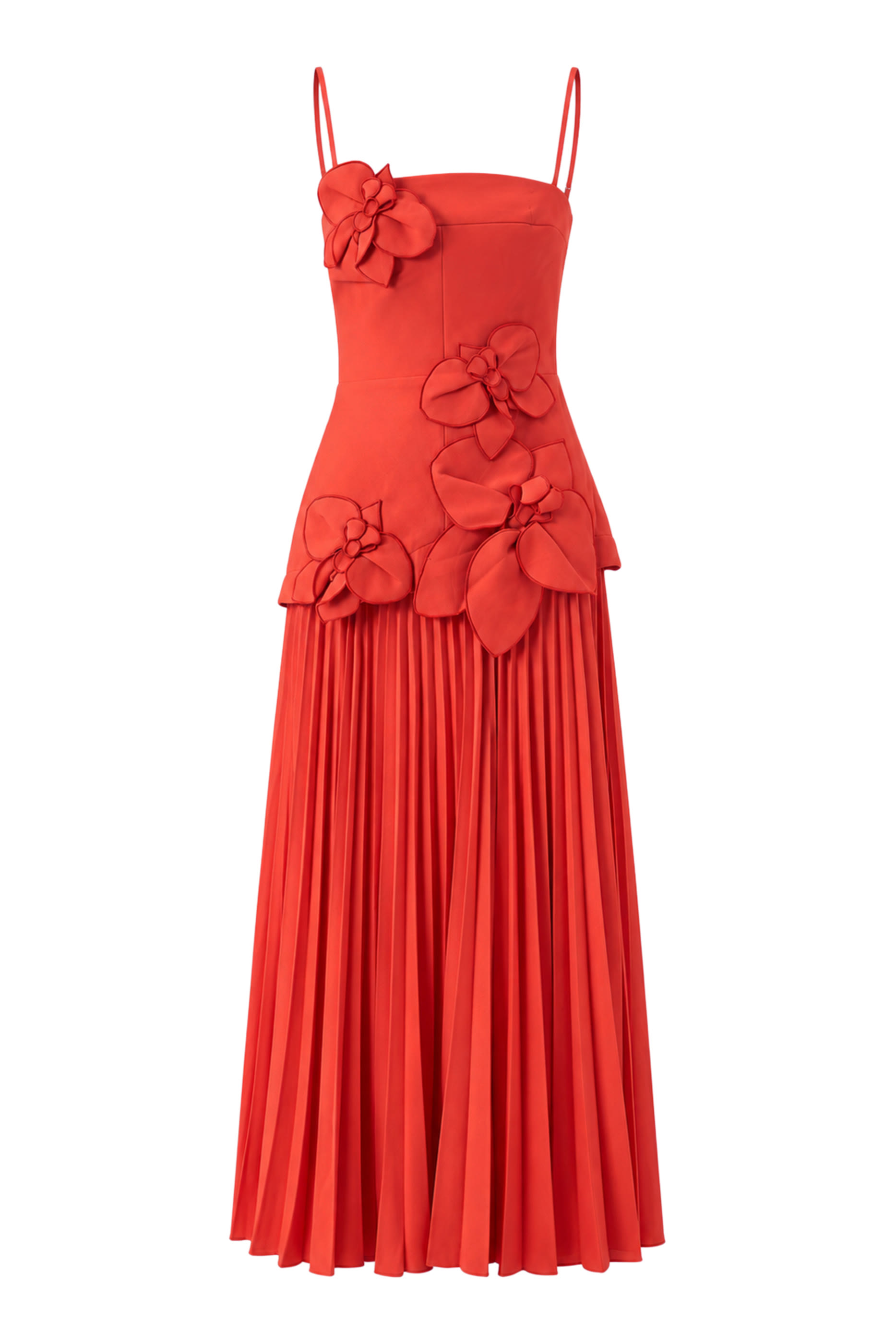 Avision Maxi Dress