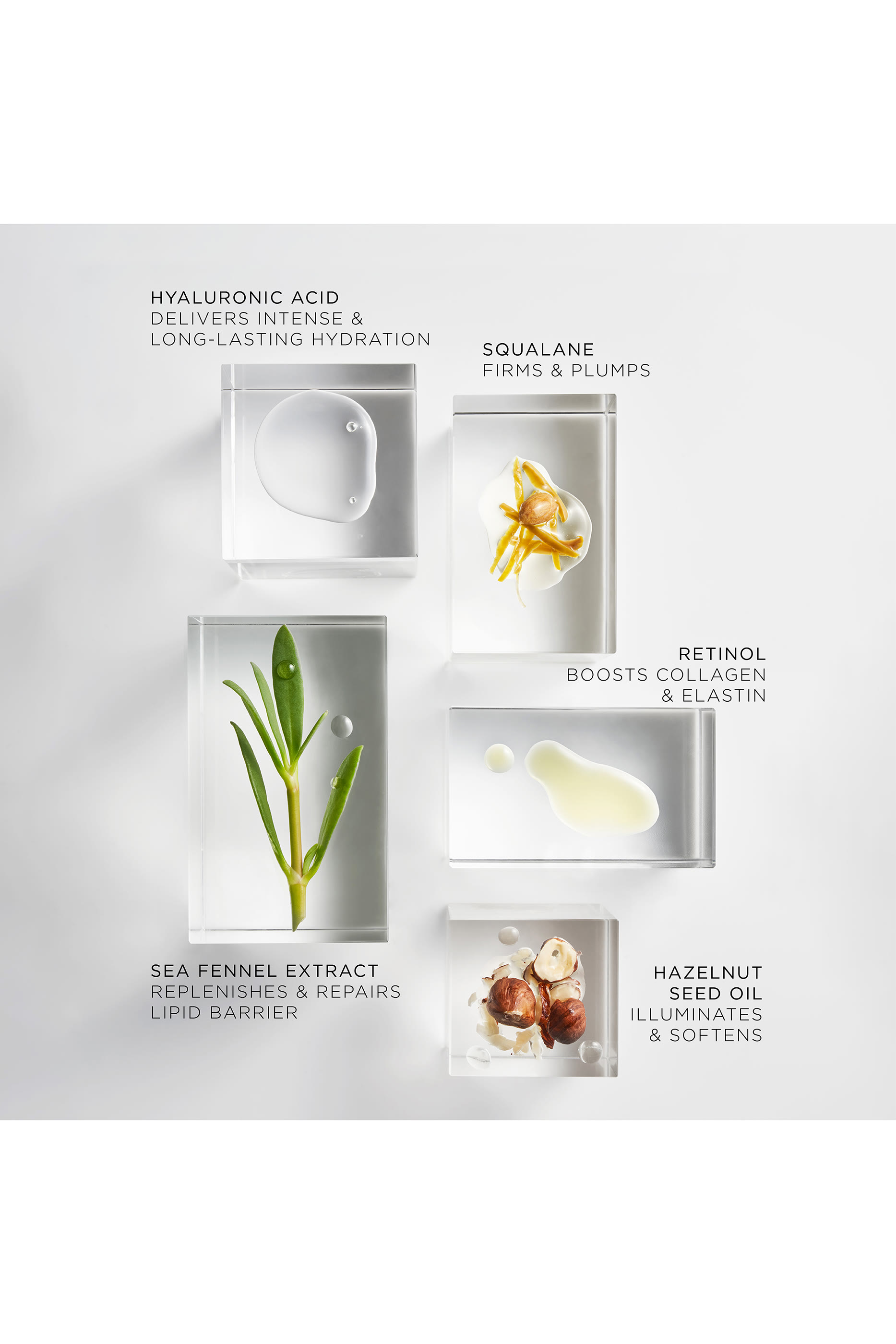 The Limited Edition Red Absolute Nourishing Lift Oil