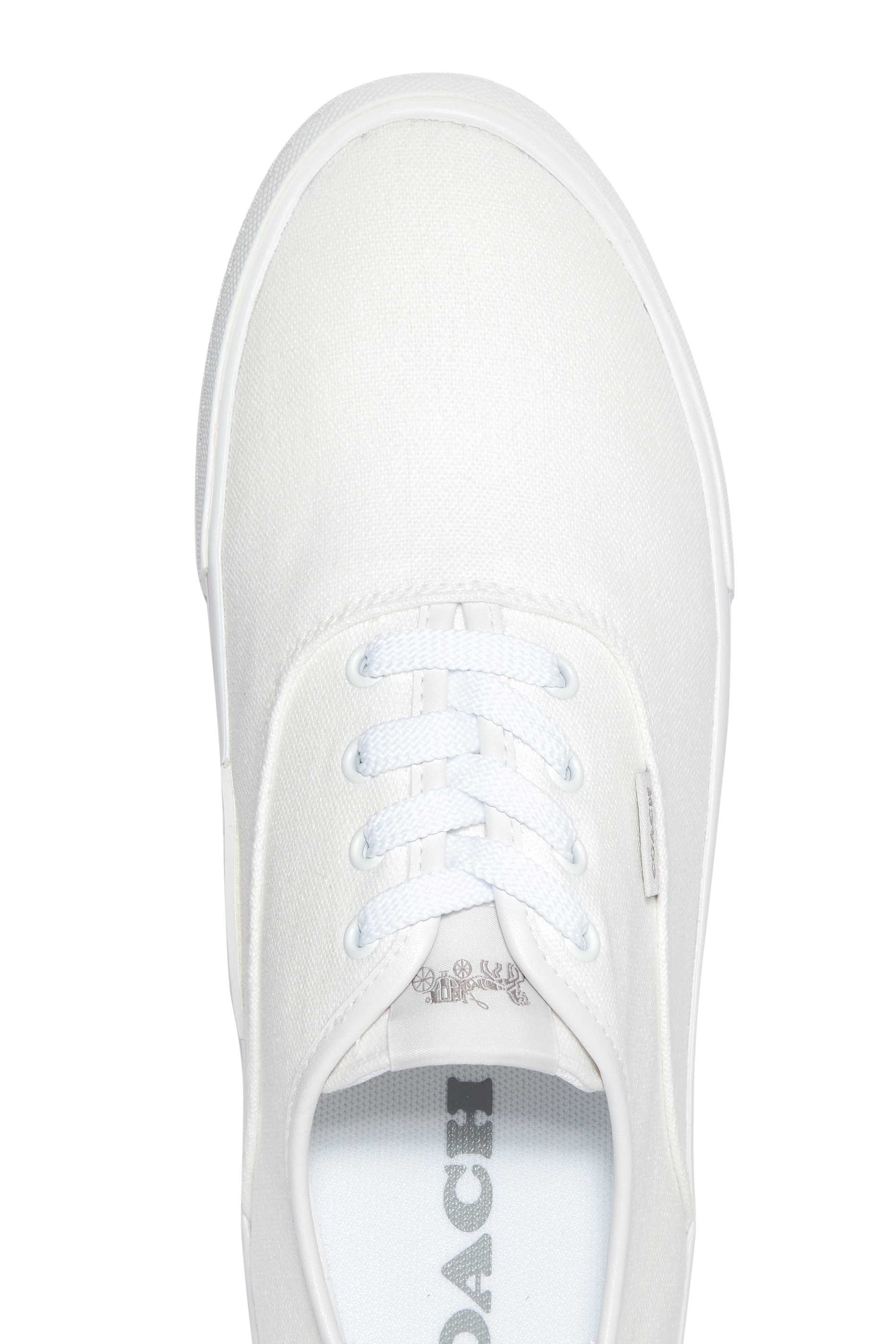 Citysole Skate Canvas Sneakers