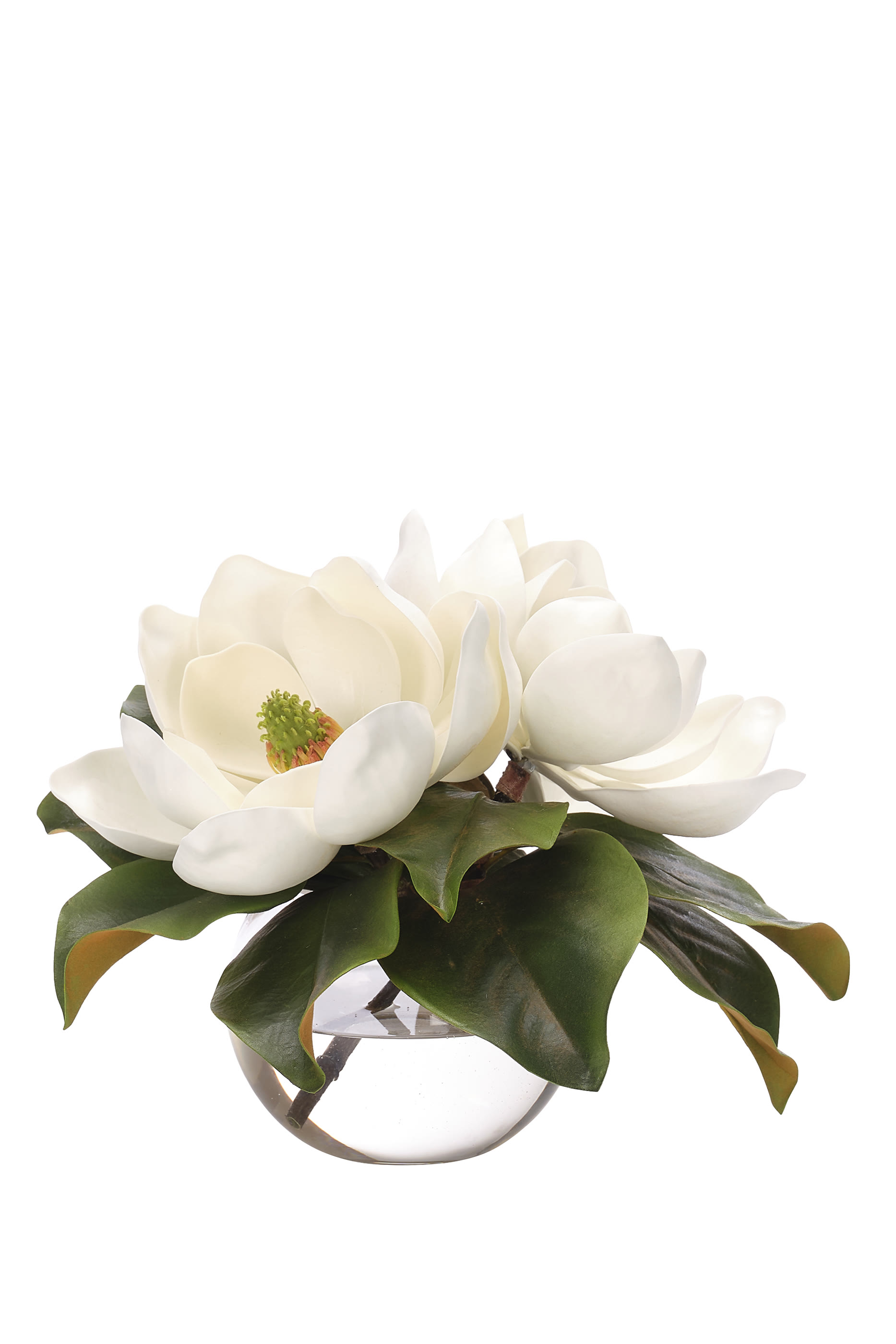 Magnolia - Faux Watergarden