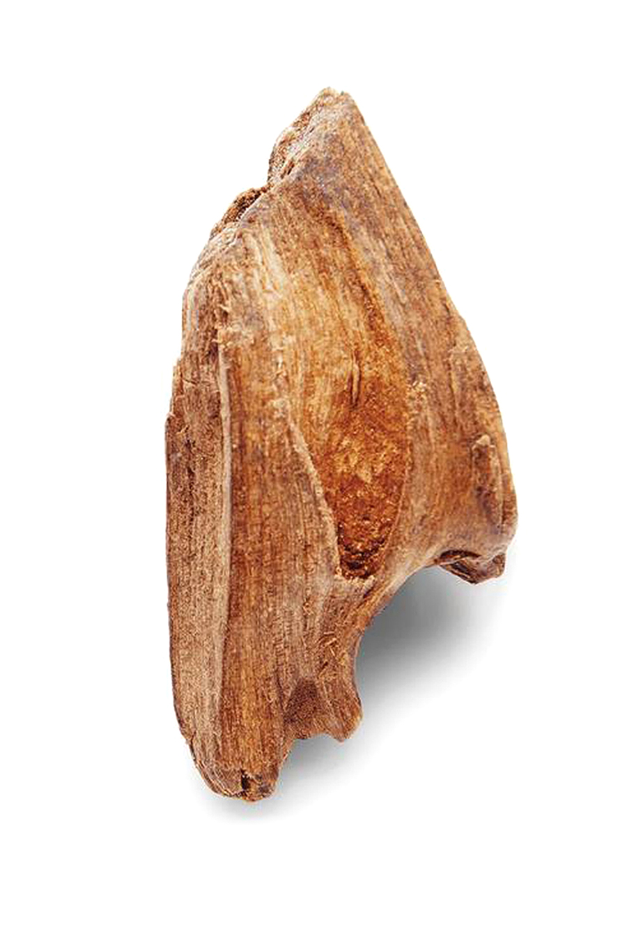 Code Eau de Toilette