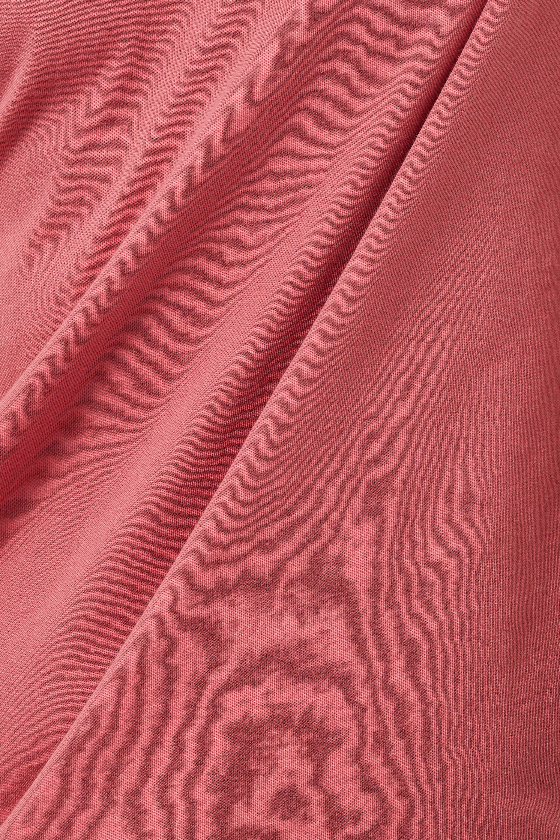 Organic Cotton T-Shirt