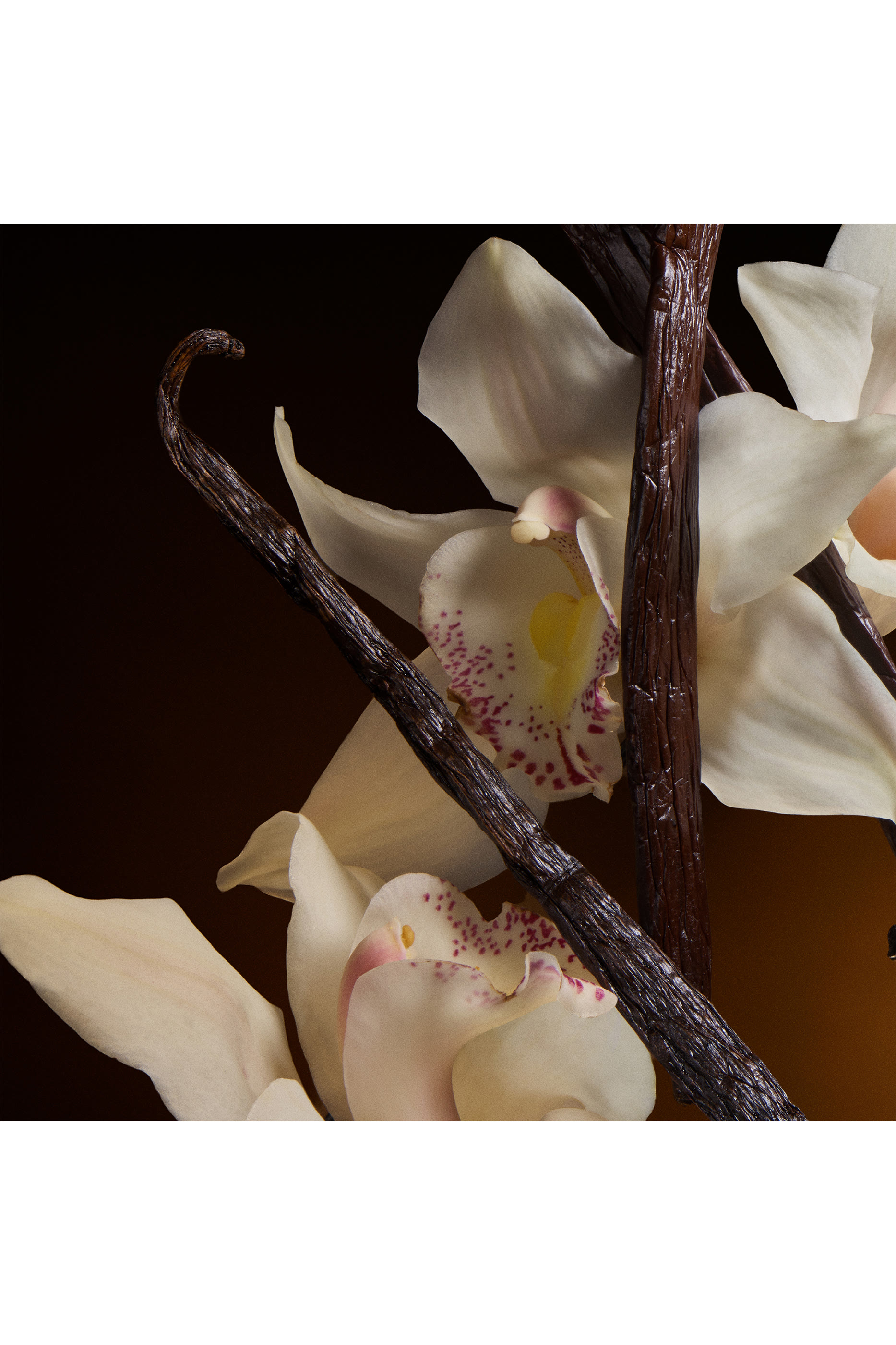 The One Eau de Parfum Intense 