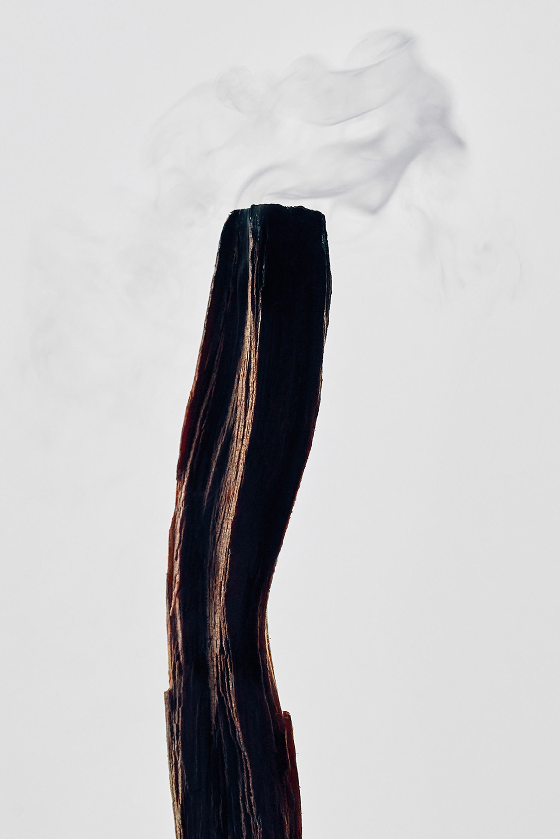 Medium Palo Santo Candle