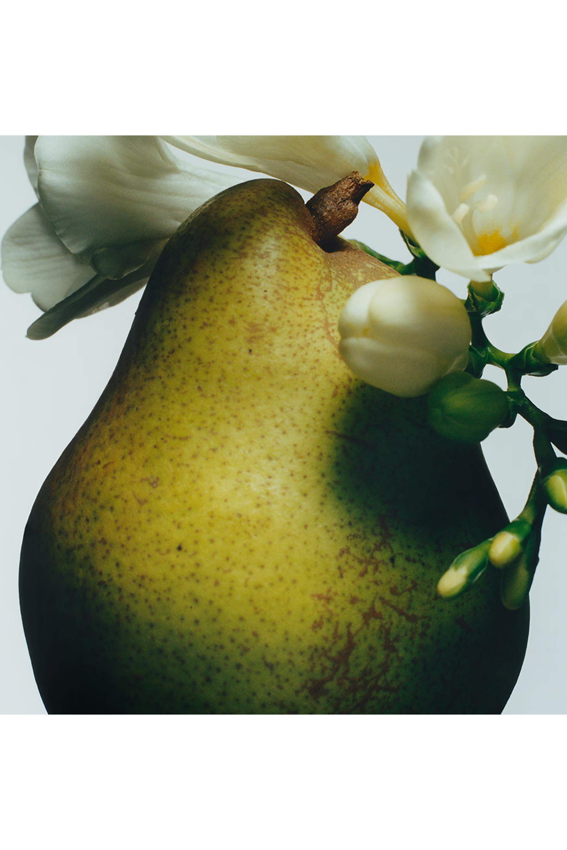 English Pear and Freesia Eau de Toilette