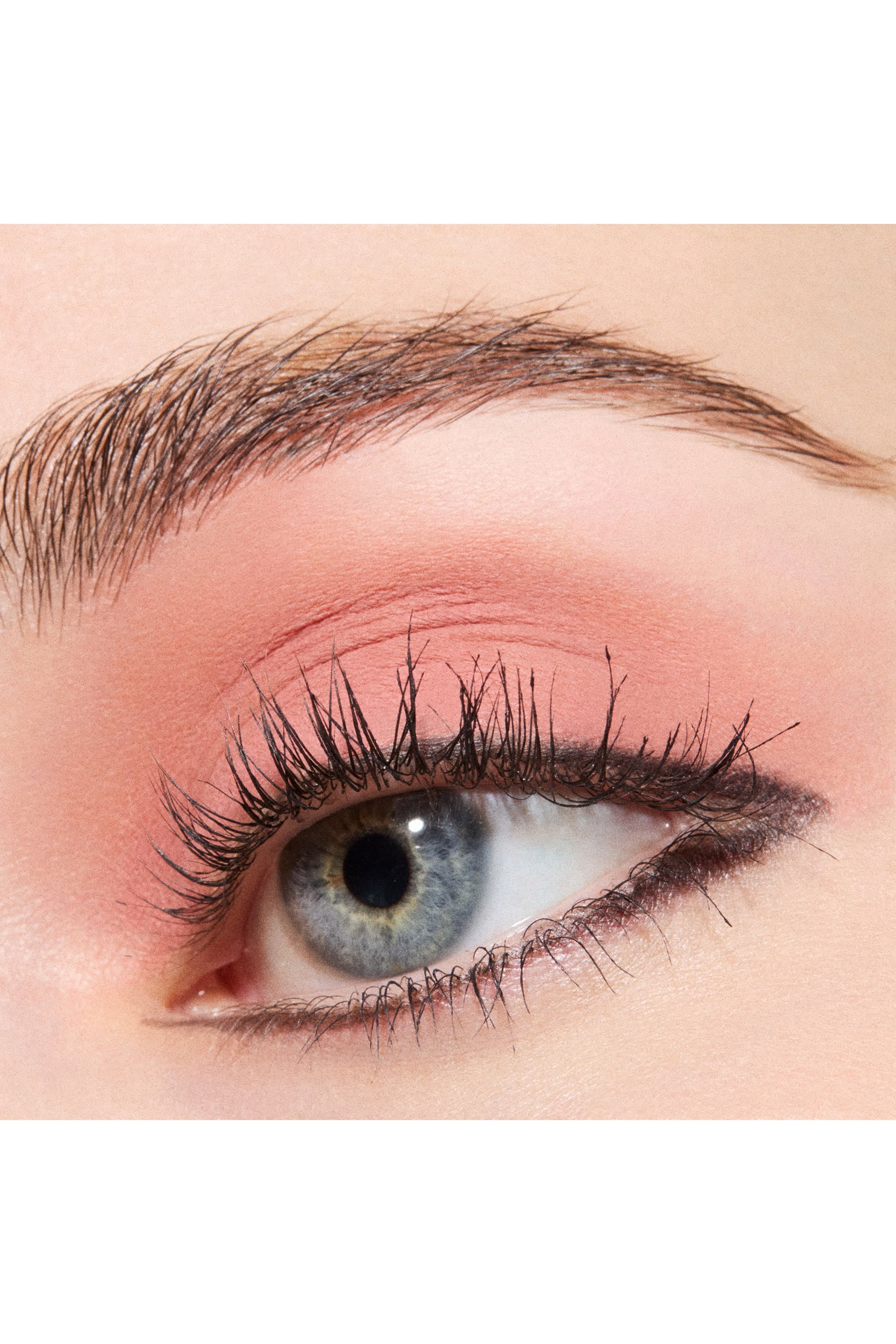 Multisculpt Matte Liquid Colour