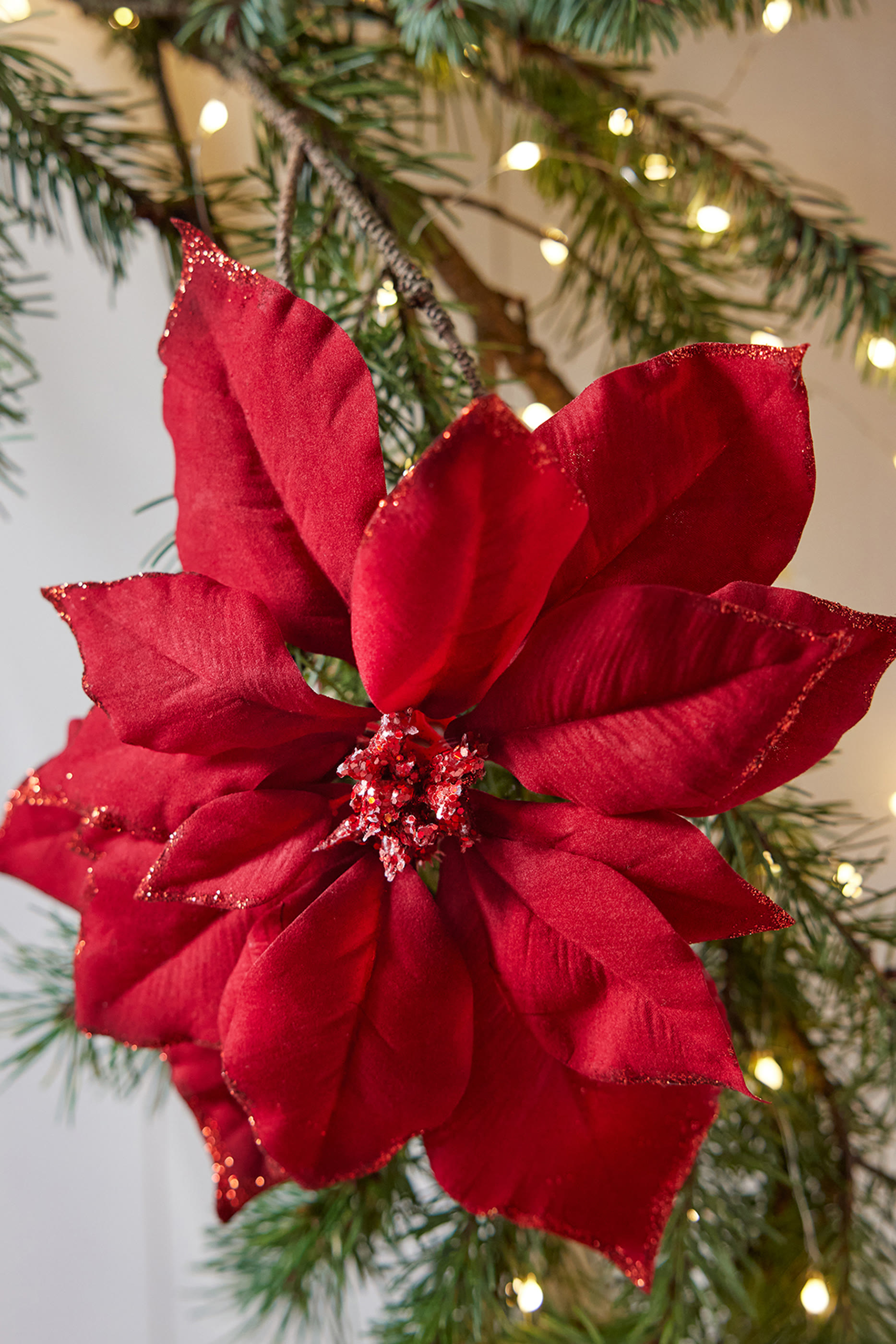 Poinsettia on Clip