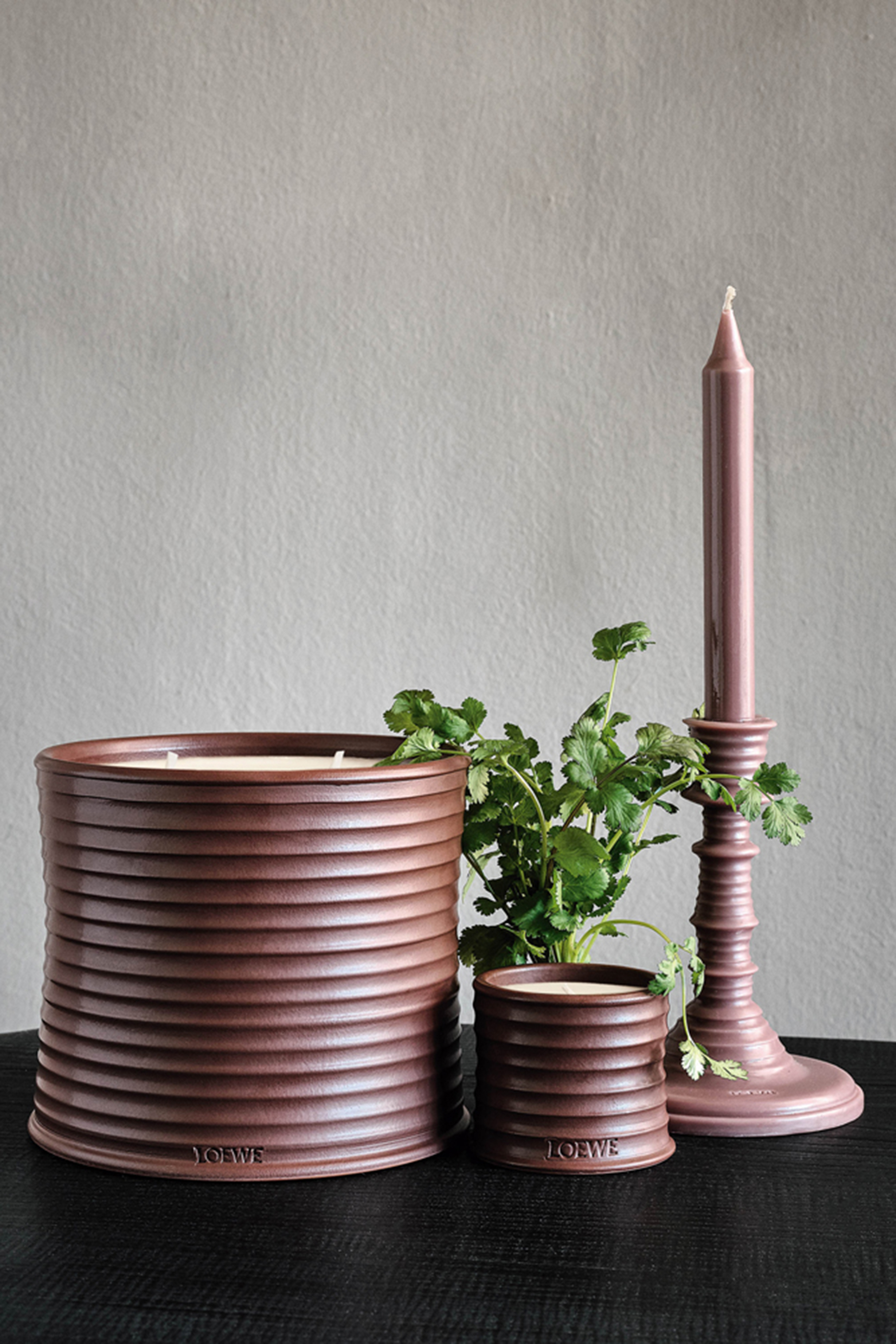 Juniper Berry Scented Candle