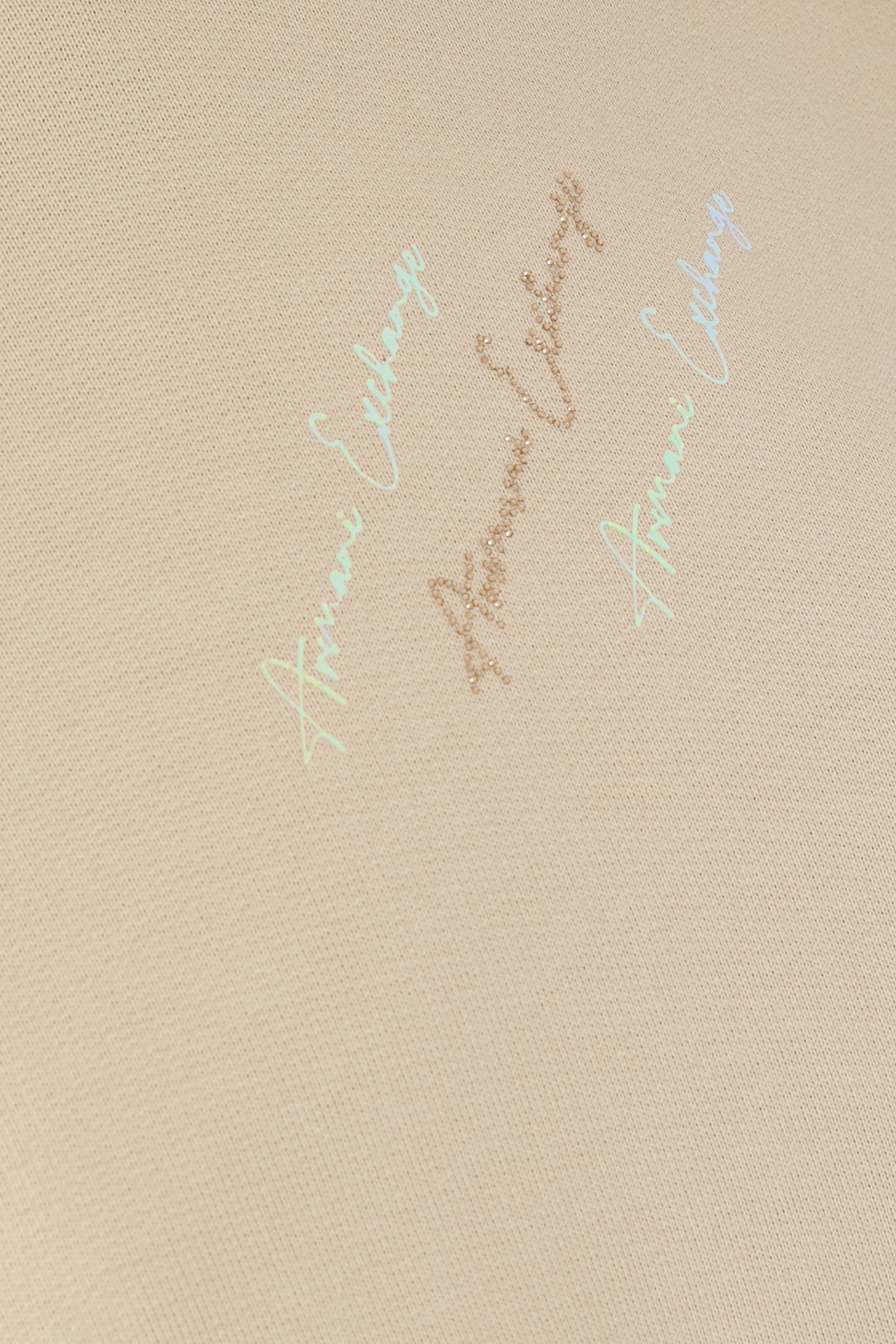 AX Logo Jersey Sweatshirt