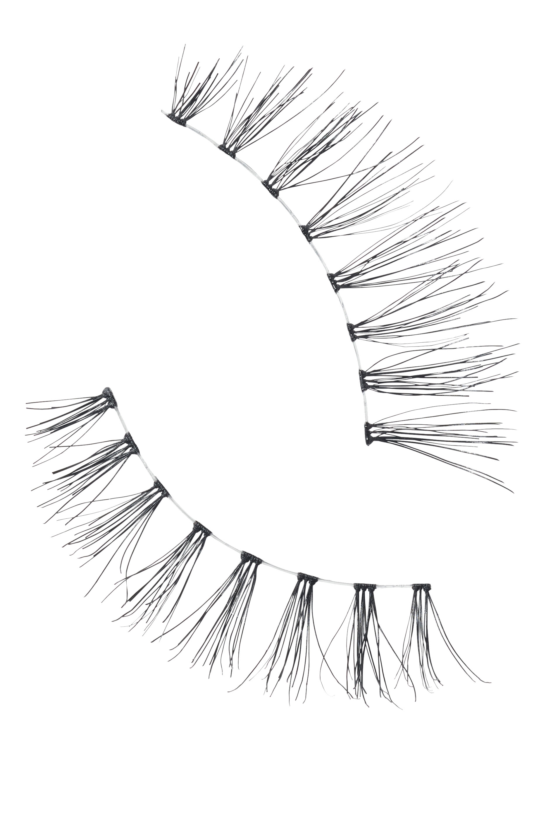 81 Charmer Lash