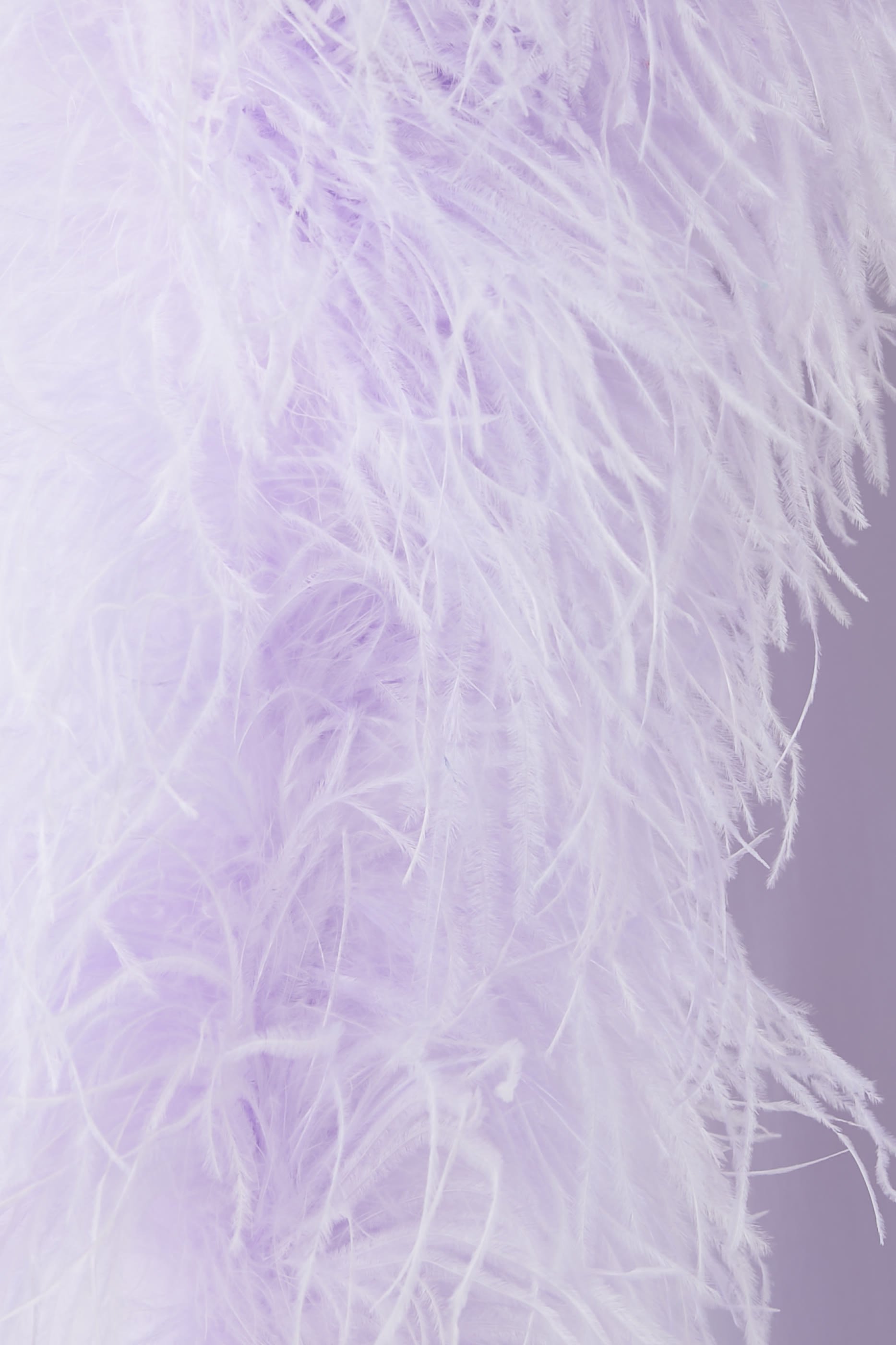 Ubud Feather-Trim Gown