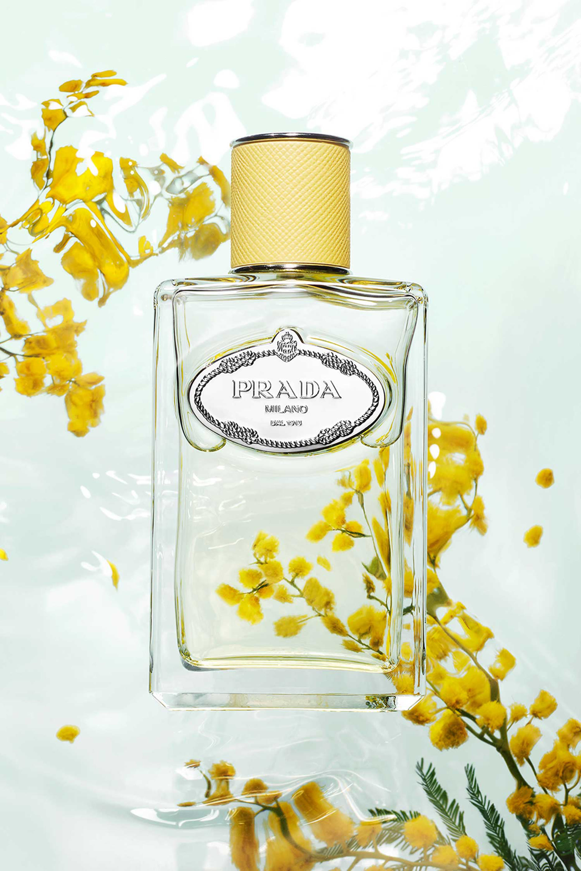 Les Infusions de Prada Mimosa Eau de Parfum