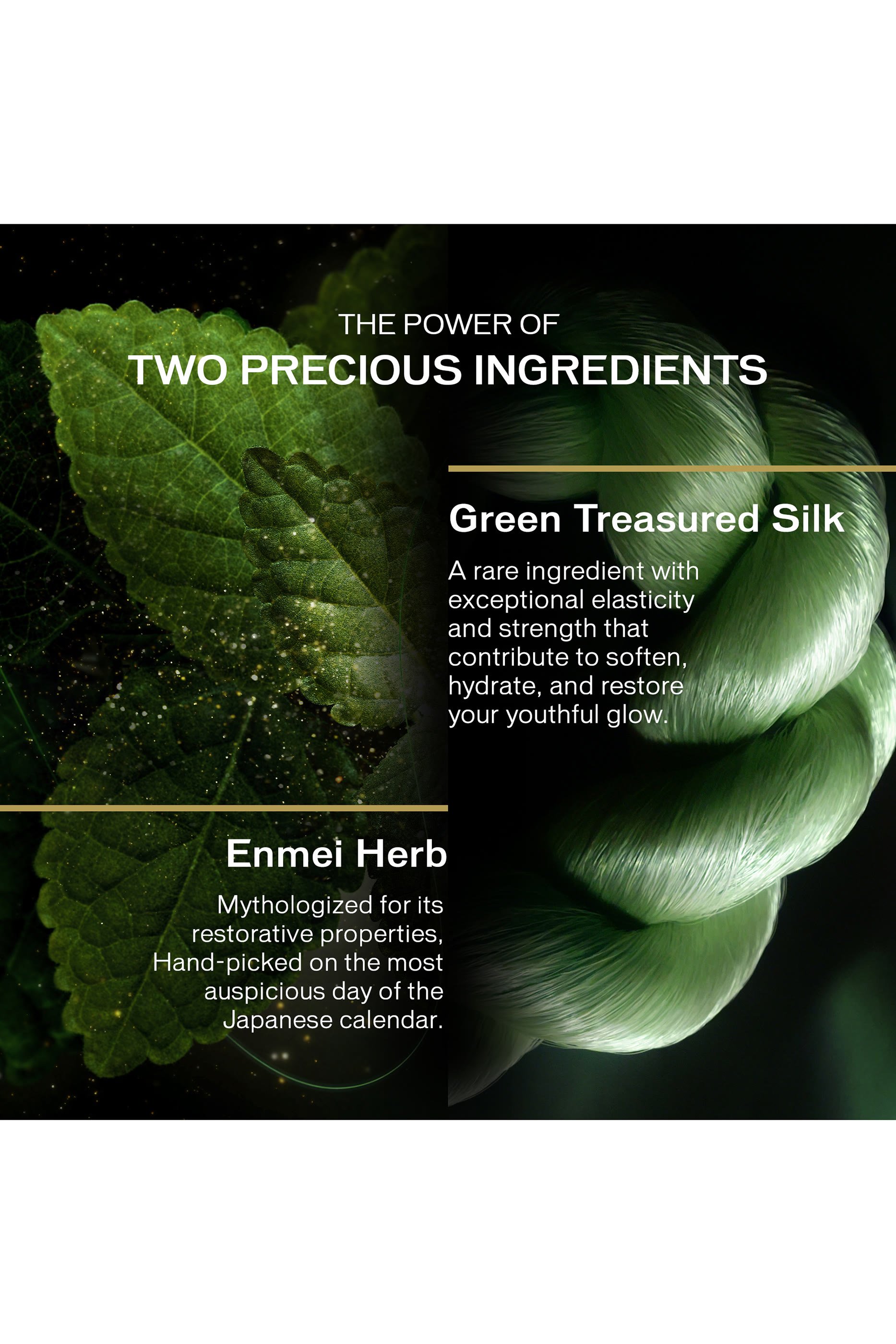 Future Solution LX Legendary Enmei Ultimate Luminance Serum