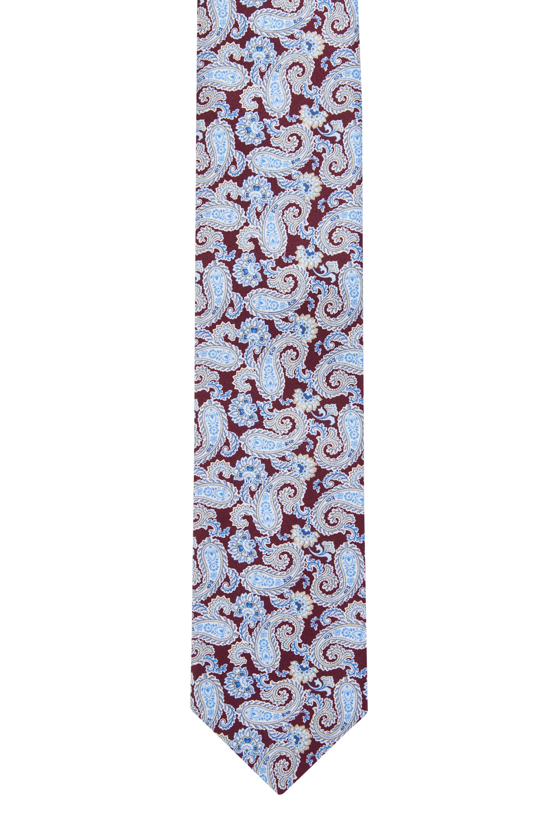 Paisley Silk Tie 