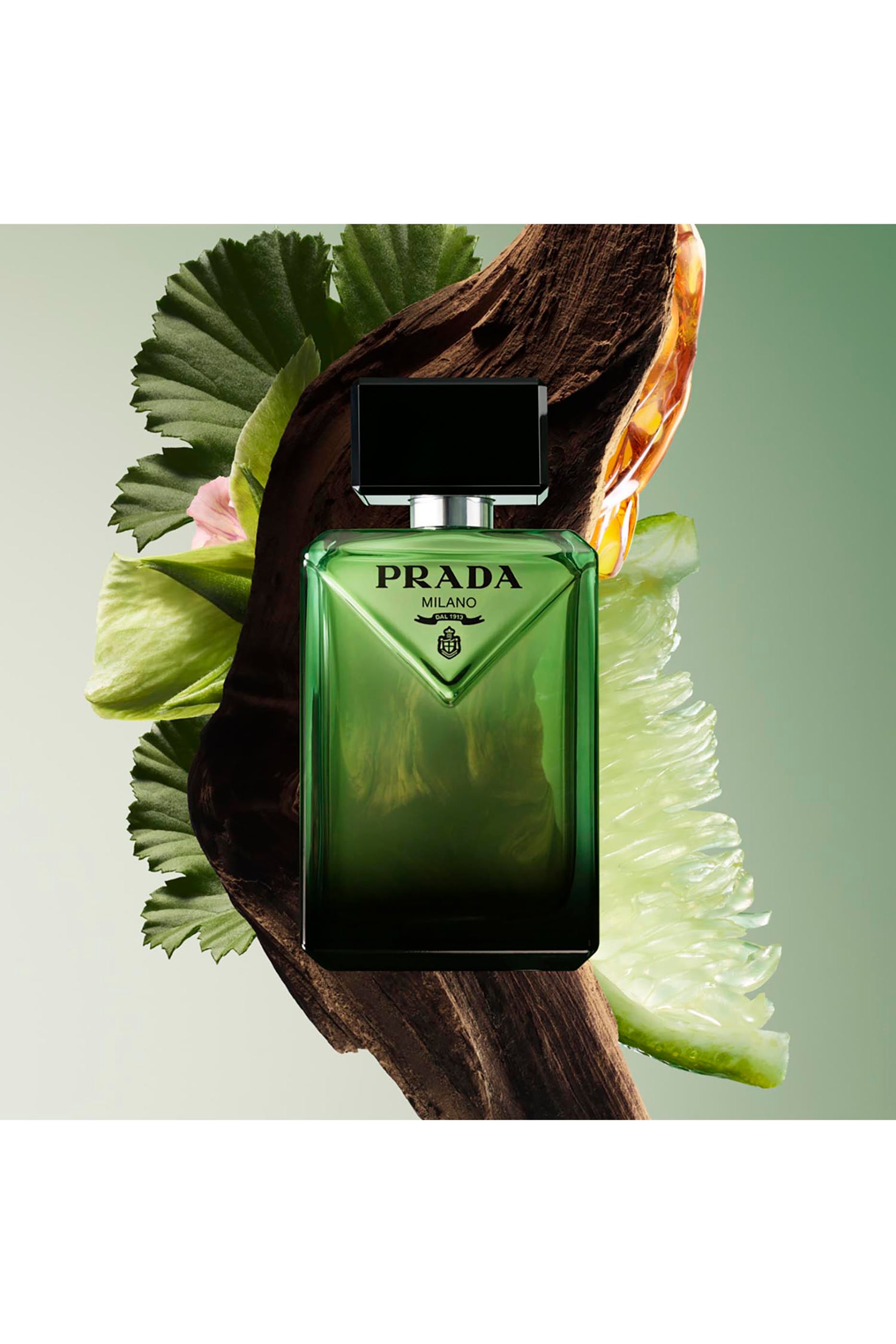 Paradigme Eau de Parfum