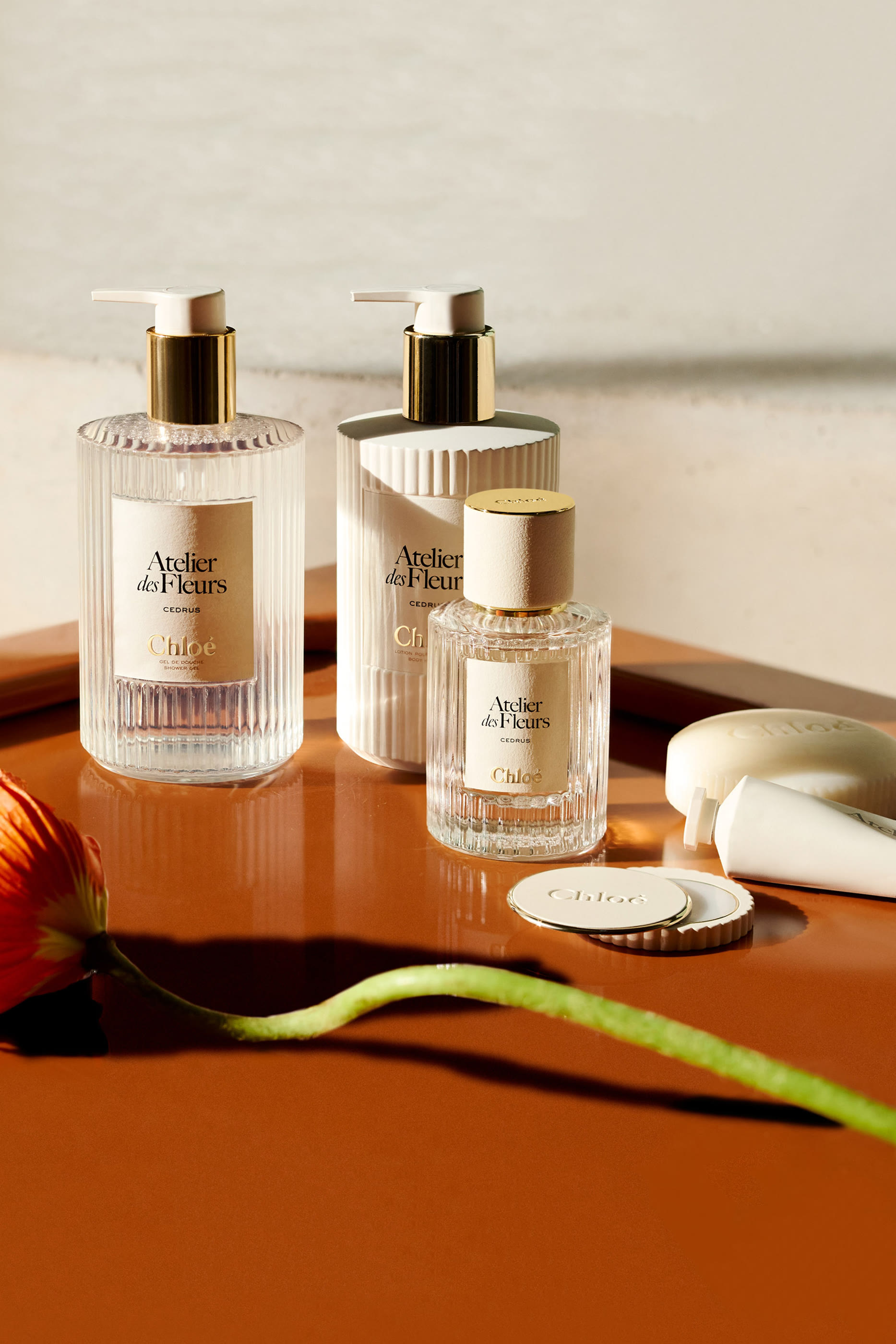 Atelier des Fleurs Magnolia Alba Perfumed Shower Gel