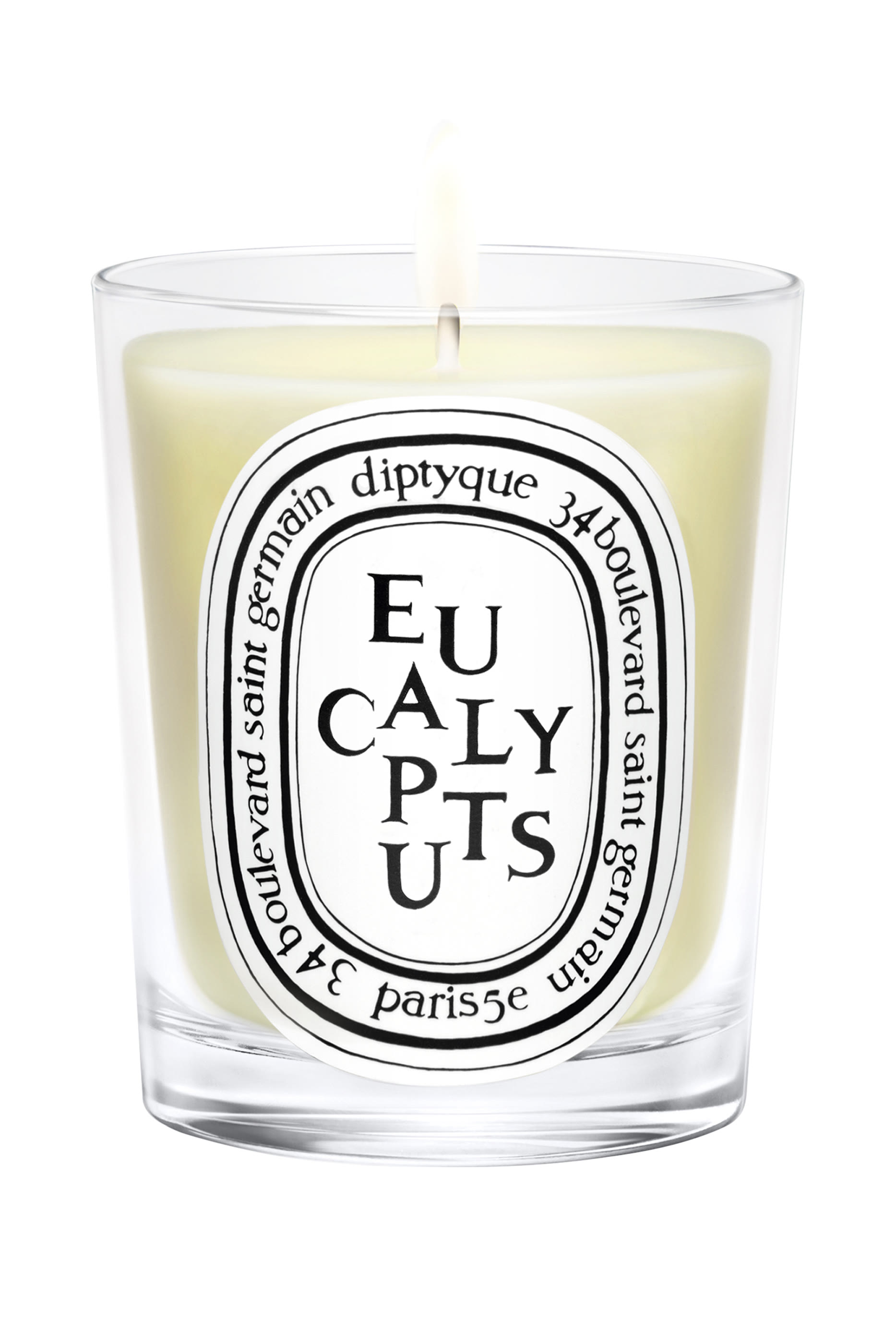 Eucalyptus Candle